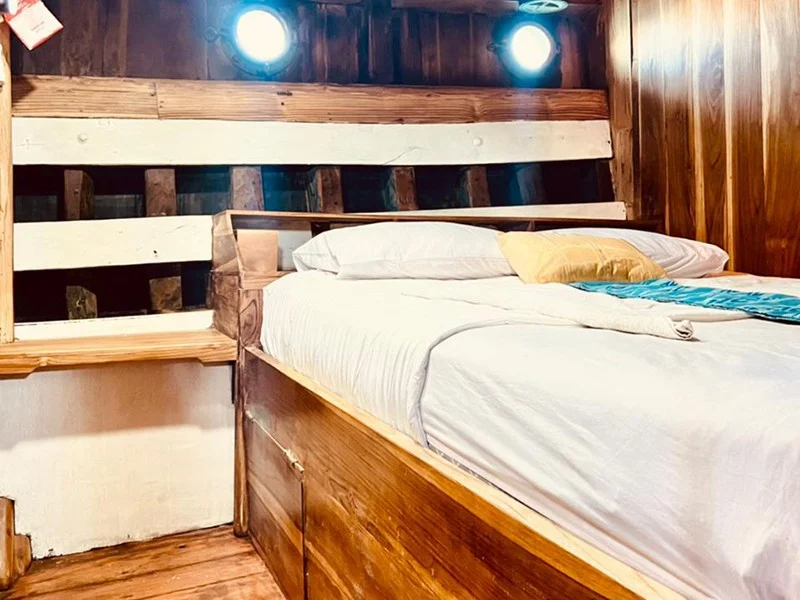 Twin Voyager - Image 1